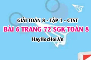 Giải bài 6 trang 72 Toán 8 Tập 1 SGK Chân trời sáng tạo
